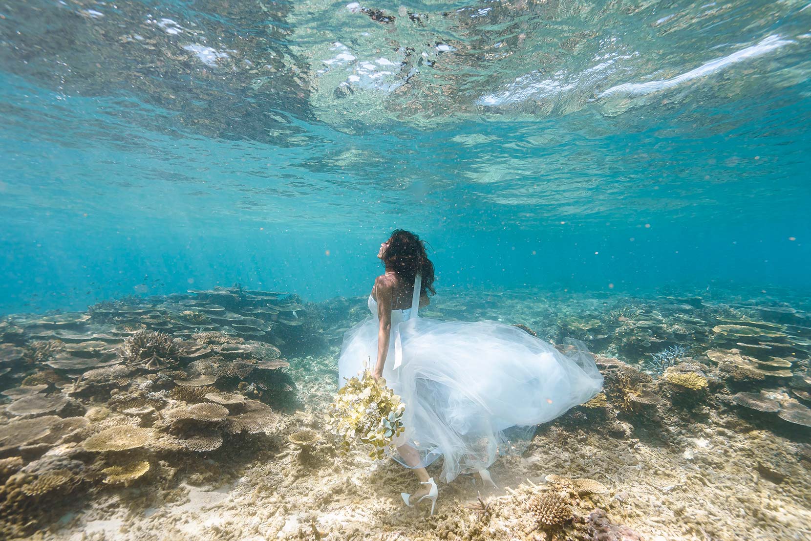 スタンダードプラン イメージ