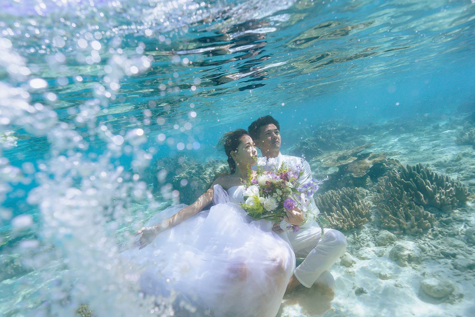 スタンダードプラン イメージ