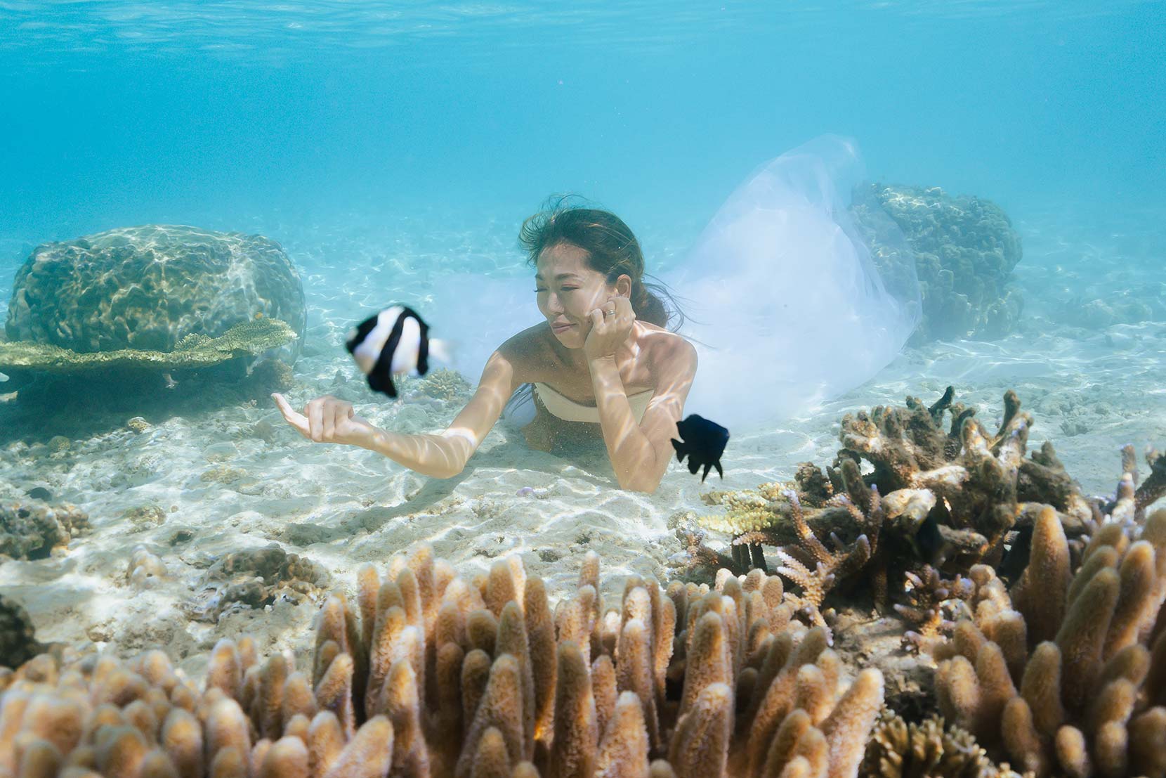 フルプラン イメージ