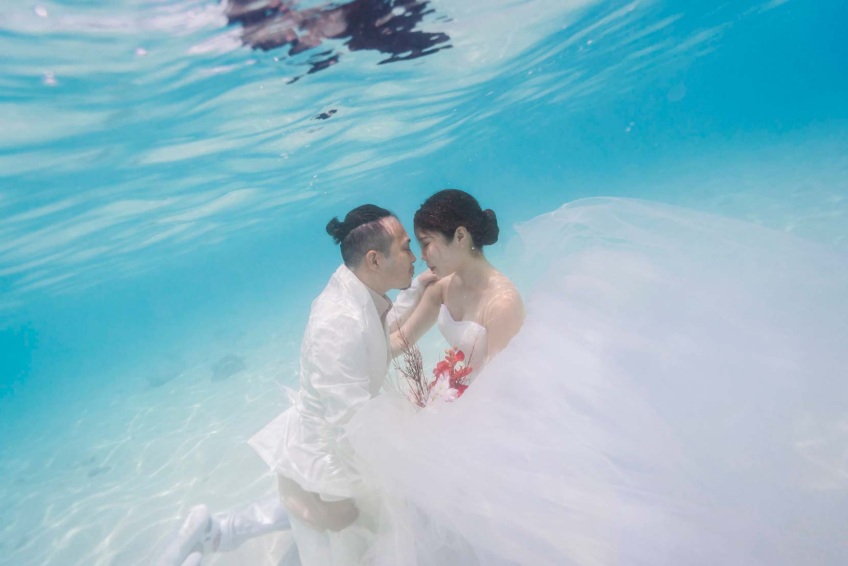 フルプラン イメージ