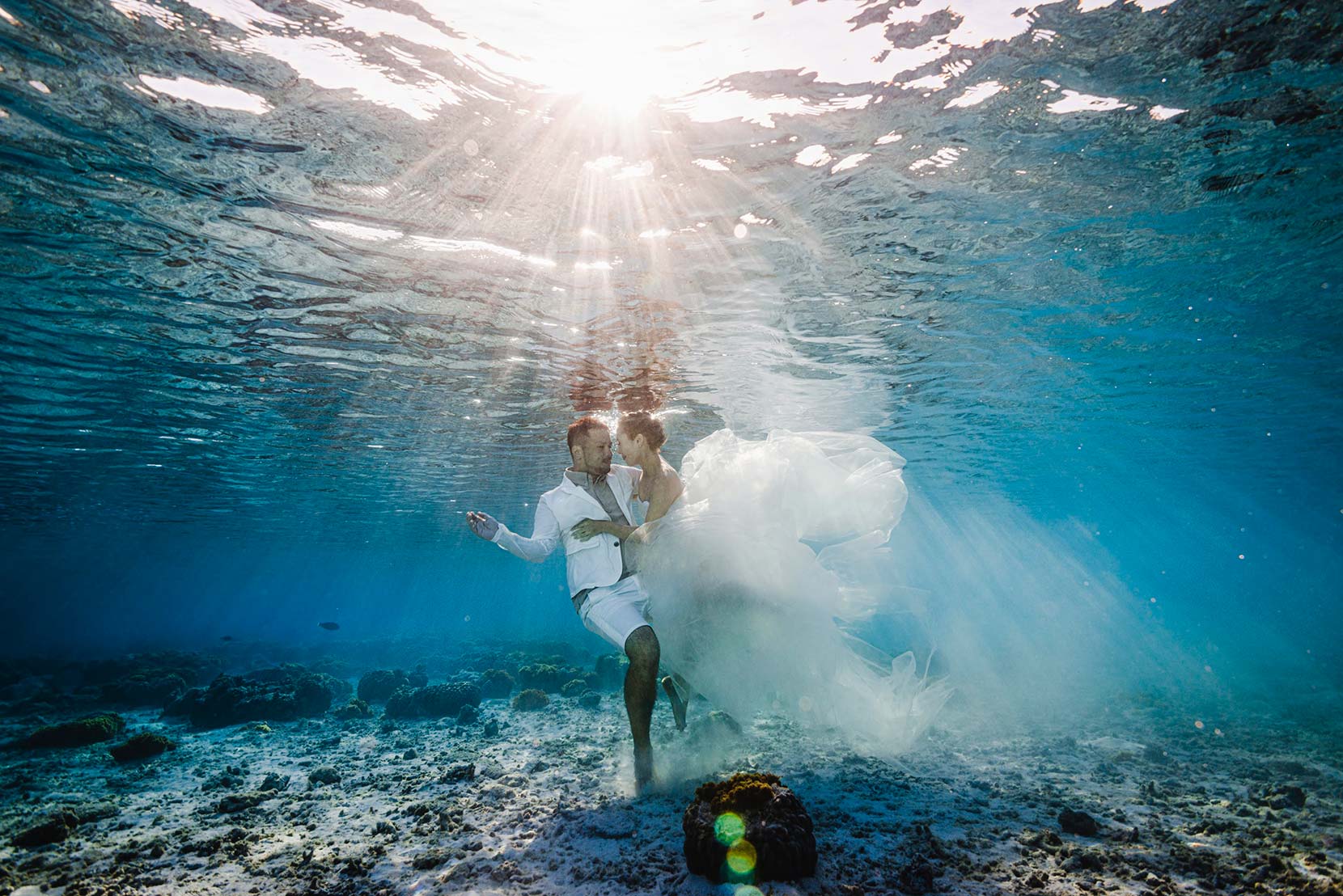 スタンダードプラン イメージ