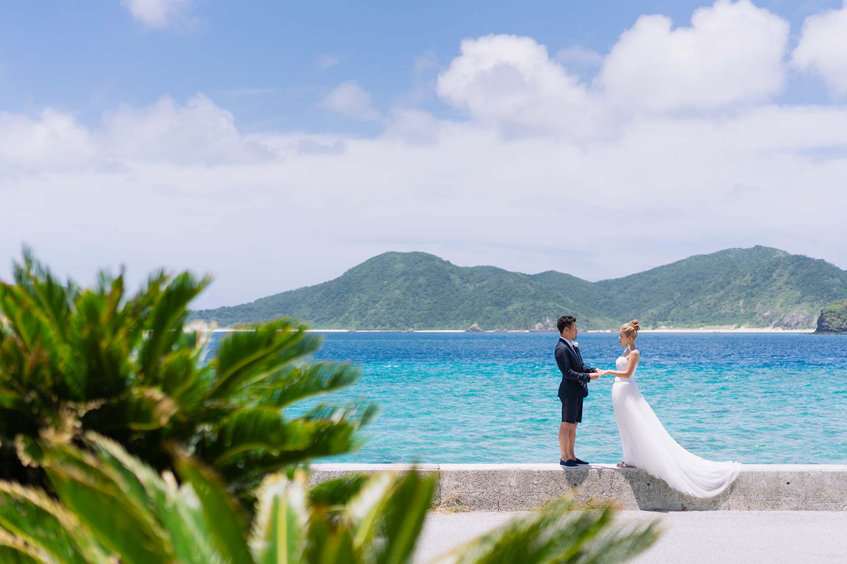 スタンダードプラン イメージ